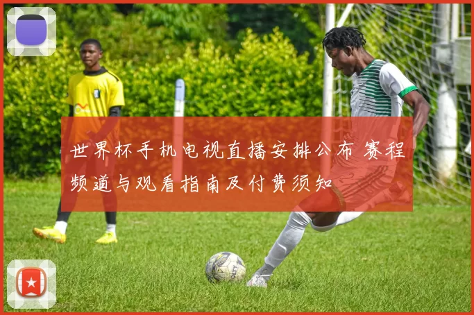 世界杯手机电视直播安排公布 赛程频道与观看指南及付费须知
