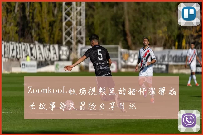 ZoomkooL牧场视频里的猪仔温馨成长故事每天冒险分享日记