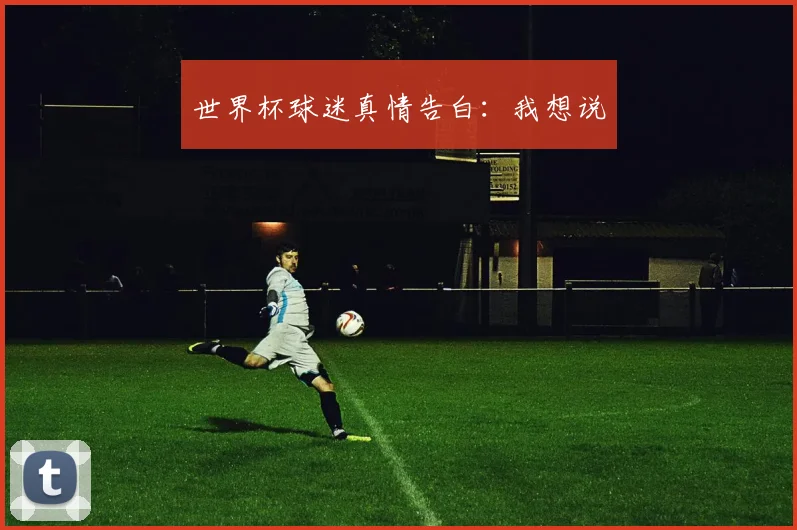 世界杯球迷真情告白：我想说