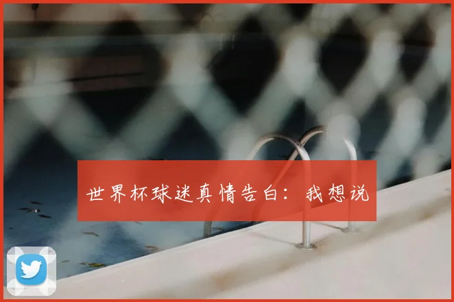 世界杯球迷真情告白：我想说