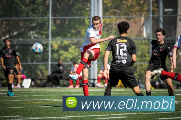 开云(中国)Kaiyun·官方网站 - 登录入口平台生态图