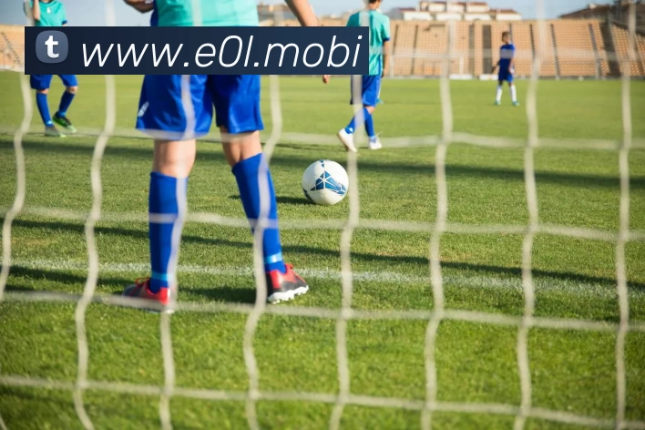 开云(中国)Kaiyun·官方网站 - 登录入口APP 封面图